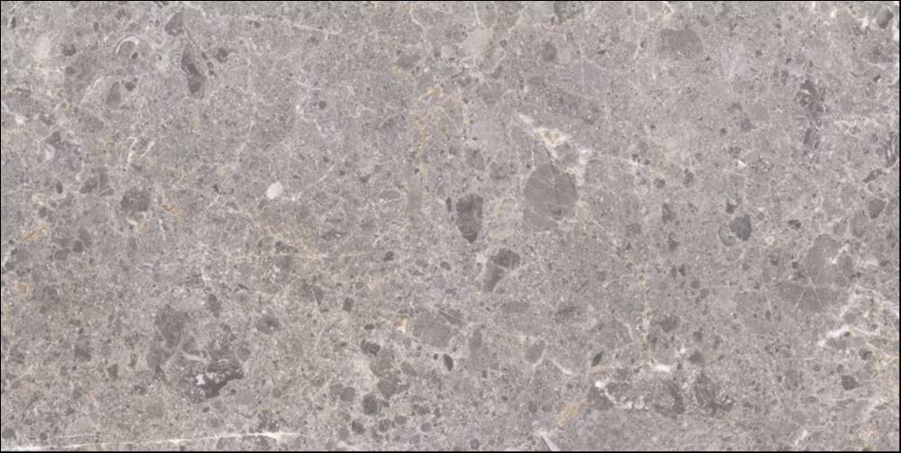 60x120cm ARTIC GRIS natural