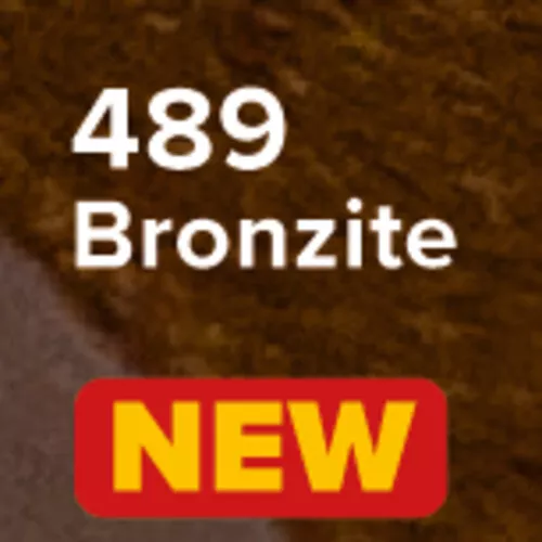 489 Bronzite