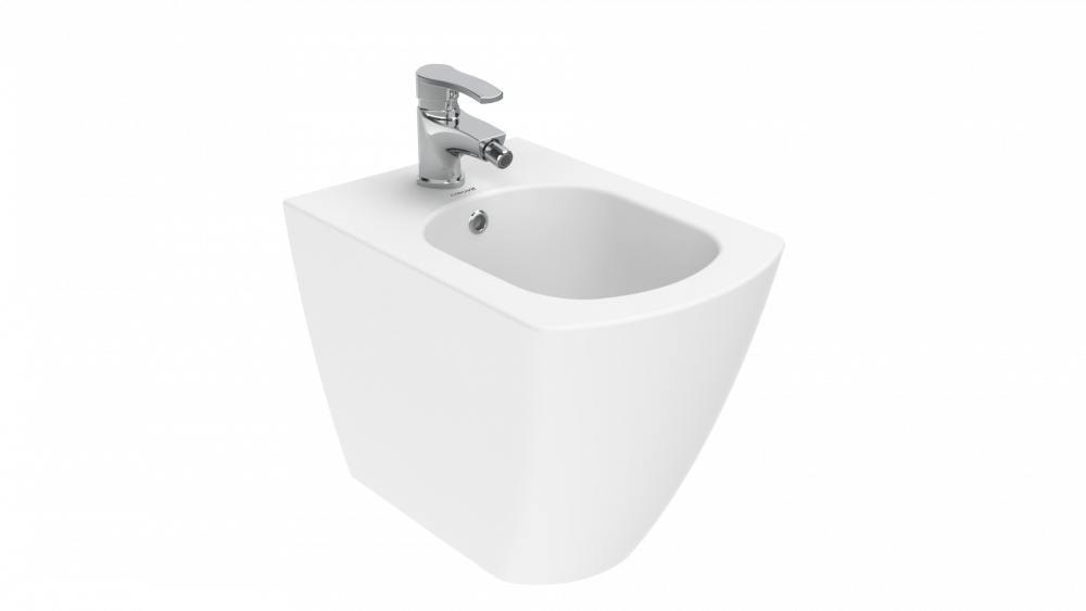 Elegant Back to Wall Bidet